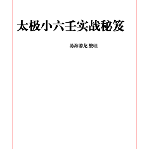 易海游龙 太极小六壬实战秘笈-109页