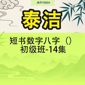 短书数字八字（泰洁）初级班-14集