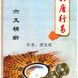 大唐行易-六爻精断-278页