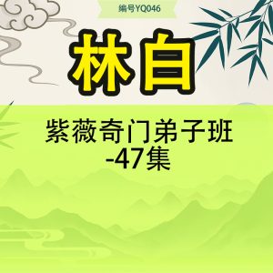 林白紫薇奇门弟子班-47集