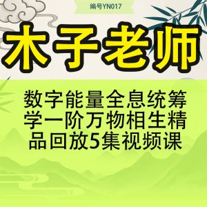 数字能量 全息统筹学一阶 万物相生 精品回放   木子老师 5集视频课