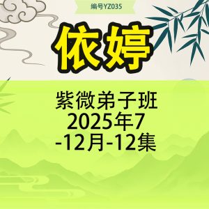 依婷紫微弟子班2025年7-12月-12集