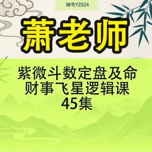萧老师紫微斗数定盘及命财事飞星逻辑课45集