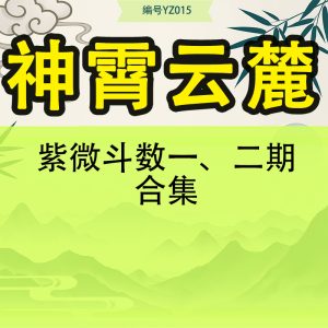 神霄云麓-紫微斗数一、二期合集