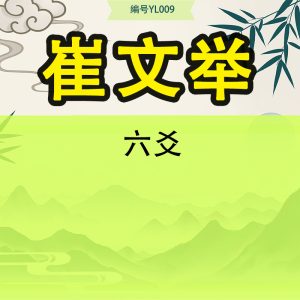 崔文举六爻