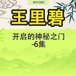 王里碧 开启的神秘之门-6集