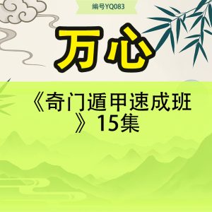万心《奇门遁甲速成班》15集