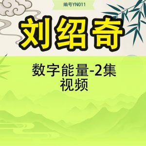刘绍奇-数字能量-2集视频