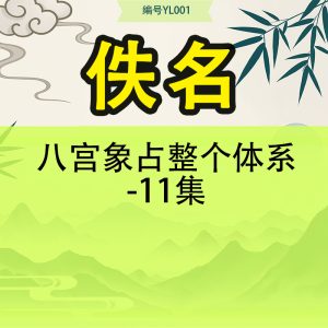 八宫象占整个体系-11集