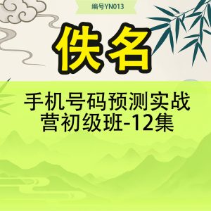 手机号码预测实战营初级班-12集