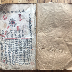道教符箓秘本《先天雷霆藏真》张君战雷章 朱砂讳字 完整版-古本-177双页