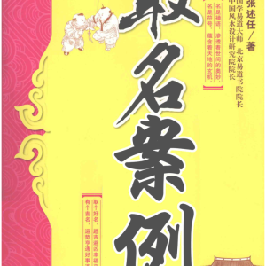 《取名案例》张述任-288页