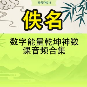 数字能量 乾坤神数课音频合集