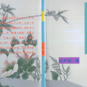 六爻实战妙法 沈子涵著 266页