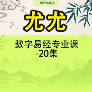尤尤数字易经专业课-20集
