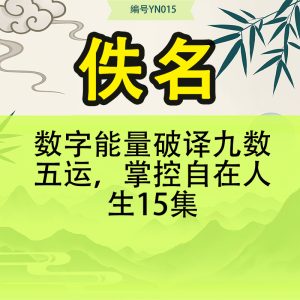 数字能量 破译九数五运，掌控自在人生15集