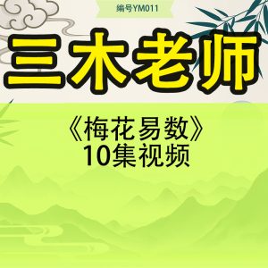 如是禅说梅花易数-30集