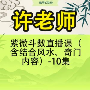 许老师-紫微斗数直播课（含结合风水、奇门内容）-10集