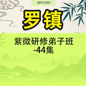 罗镇-紫微研修弟子班-44集