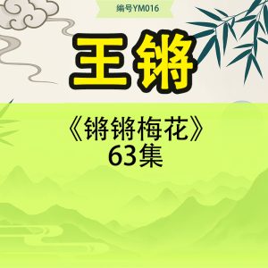 紫阳老师《梅花易数高级课程》视频14集
