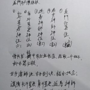 20道门秘法 催财 旺运 护身 镇宅 破千邪 延寿秘法视频7集+文字