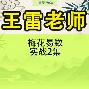 久珍《梅花易数》-30集