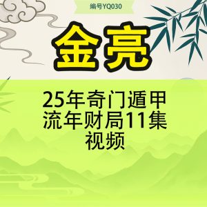 金亮25年奇门遁甲流年财局11集视频
