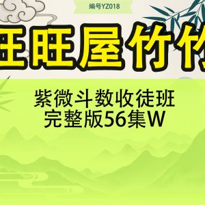 旺旺屋竹竹老师紫微斗数收徒班完整版 56集W