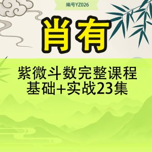 肖有紫微斗数完整课程 基础+实战 23集
