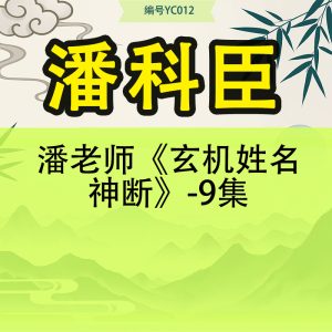 潘老师潘科臣《玄机姓名神断》-9集