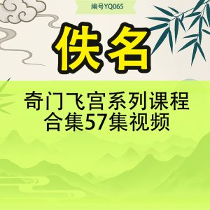奇门飞宫系列课程合集57集视频