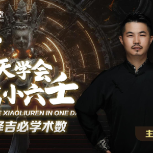 夏光明老师 一天学会小六壬·113页