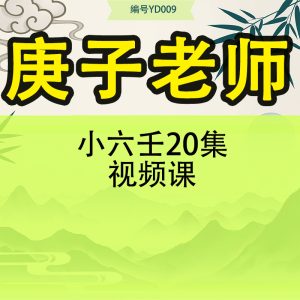 庚子老师 小六壬 20集视频课
