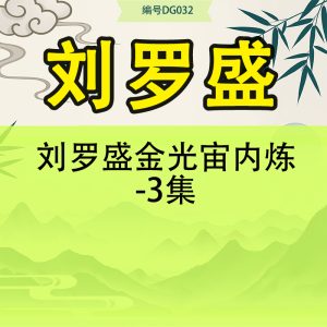 刘罗盛金光宙内炼-3集