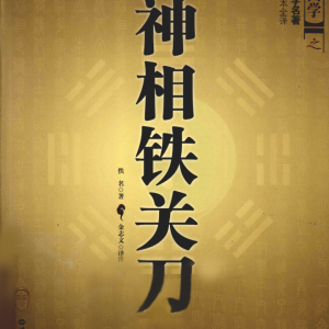 大成国学之中国古代想学名著-神相铁关刀-379页