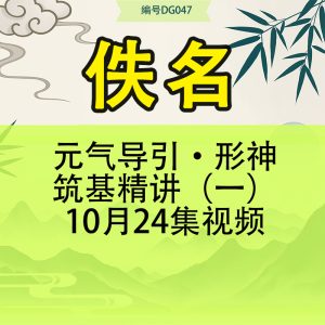 元气导引·形神筑基精讲（一）10月24集视频