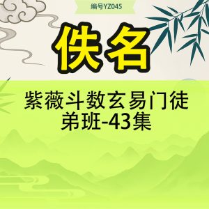 紫薇斗数 玄易门徒弟班-43集