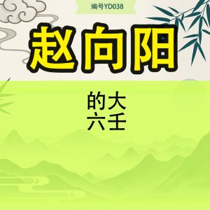赵向阳的大六壬
