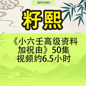 籽熙《小六壬高级资料加祝由》50集视频约6.5小时