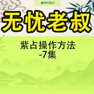 无忧老叔紫占操作方法-7集