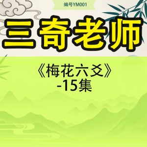 三奇老师《梅花六爻》-15集
