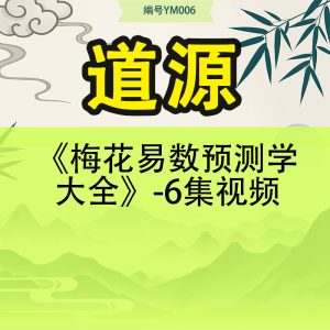 金霖老师梅花易数-34集