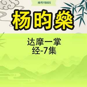杨昀燊—达摩一掌经-7集