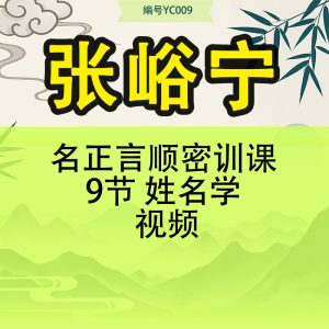 张峪宁 名正言顺密训课 9节 姓名学 视频