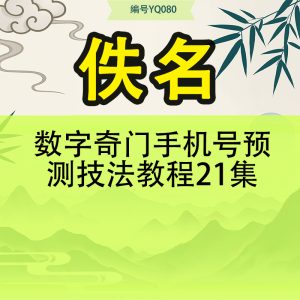数字奇门手机号预测技法教程21集
