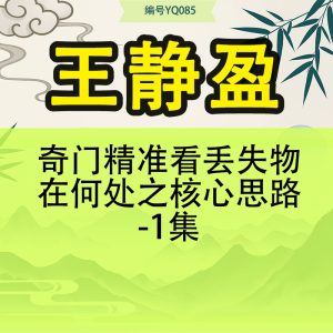 王静盈-奇门精准看丢失物在何处之核心思路-1集