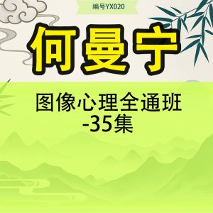 何曼宁图像心理全通班-35集