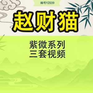 赵财猫紫微系列三套视频