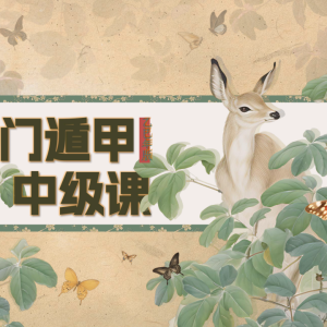 玄而未决奇门遁甲中级班