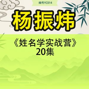 杨振炜《姓名学实战营》20集